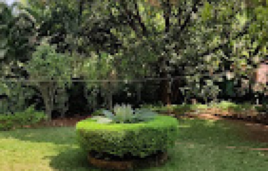 NilKrupa Forever Karjat