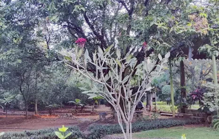 NilKrupa Forever Karjat