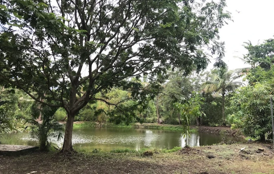 Kale Farms Karjat