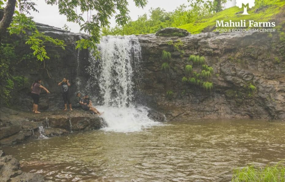 Mahuli Farms Agro and Eco Tourism Center Asangaon