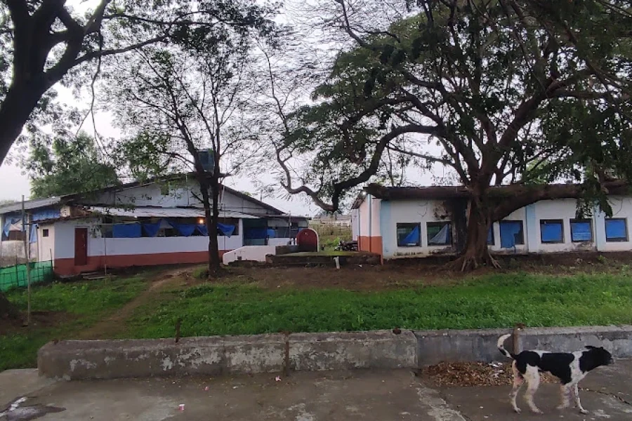 Essa Farm Neral
