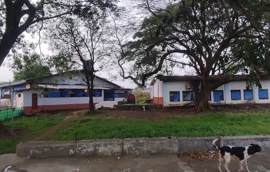 Essa Farm Neral