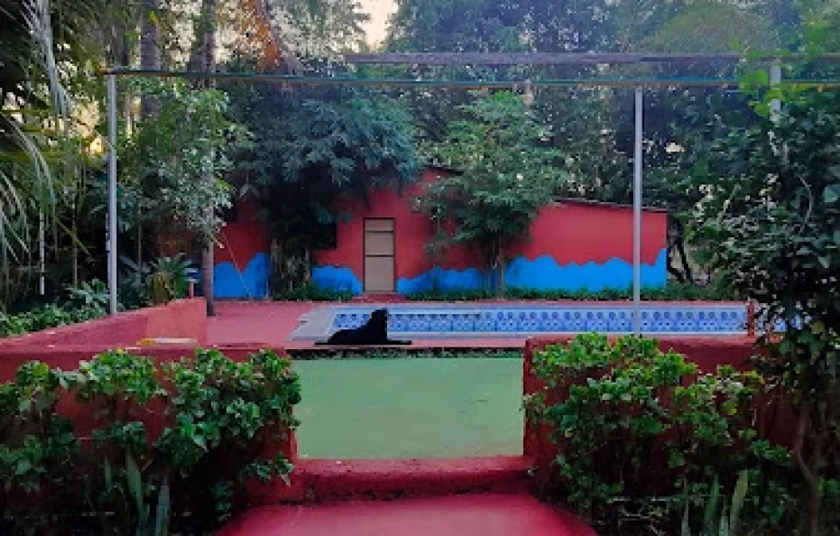 G. Titus Farms Kalyan