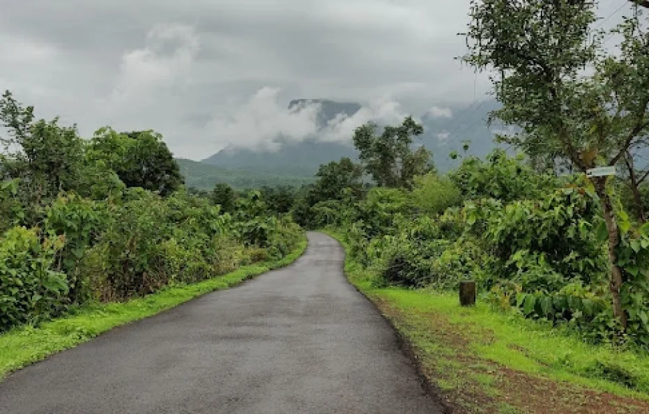 Ksar Farm Karjat