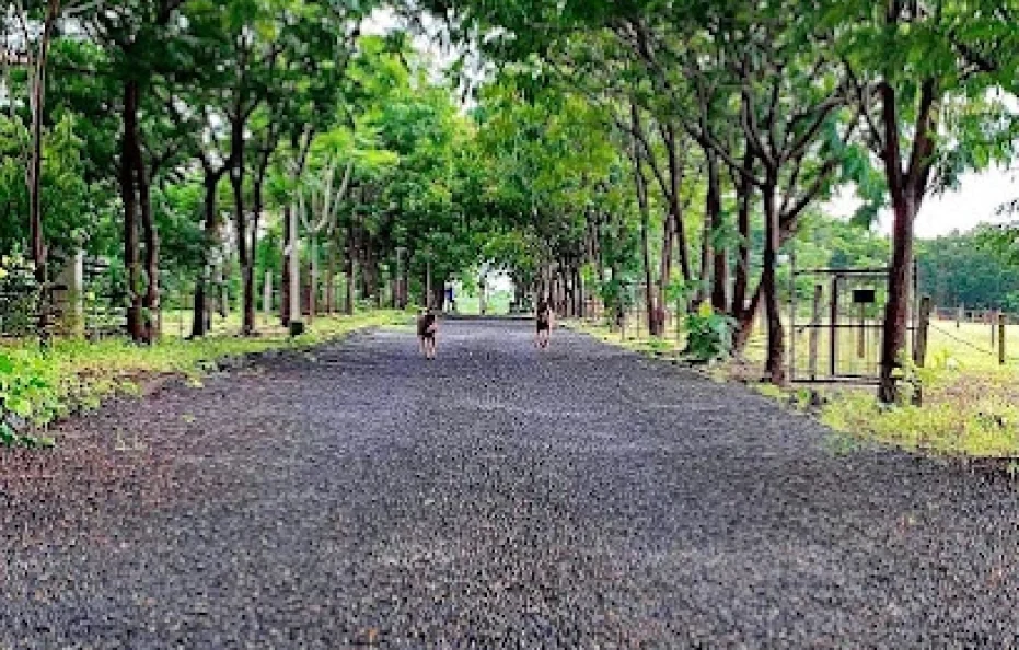 Vfive Farm Karjat