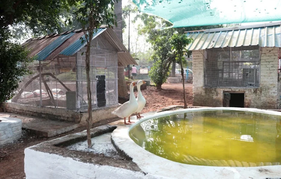 Vishwasrao Farm House Kalyan