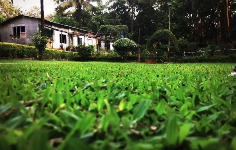 Aai Farmhouse Thane