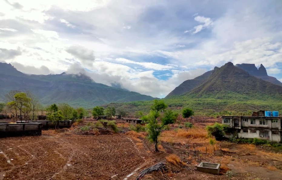 DV Farm Kalyan