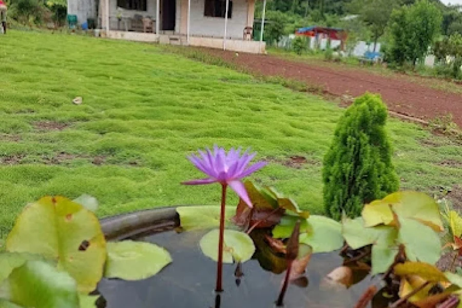 Vaishali Uday Farm Titwala