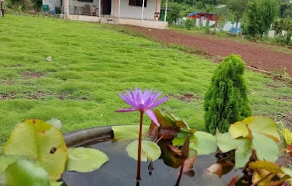 Vaishali Uday Farm Titwala